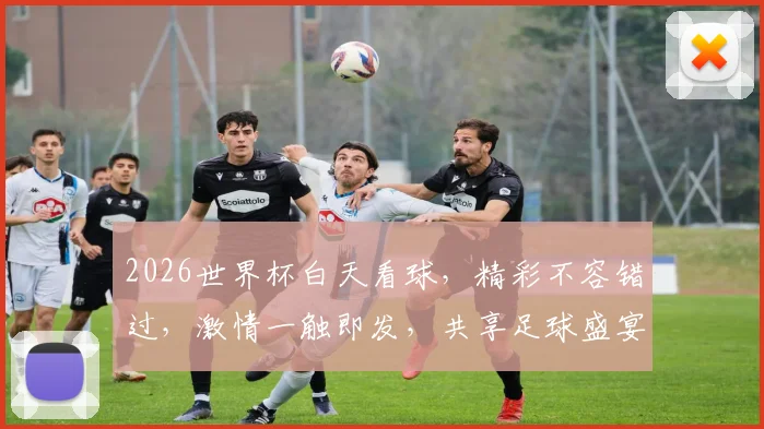 2026世界杯白天看球，精彩不容错过，激情一触即发，共享足球盛宴，尽享赛事狂欢